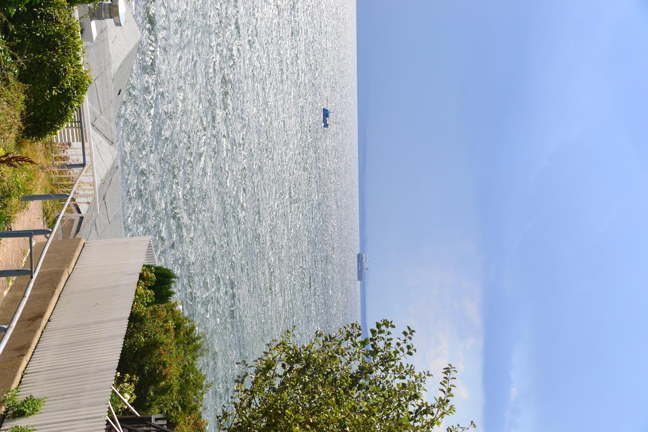 Meerforelle 207 - Villa Seeblick Sassnitz Buitenkant foto