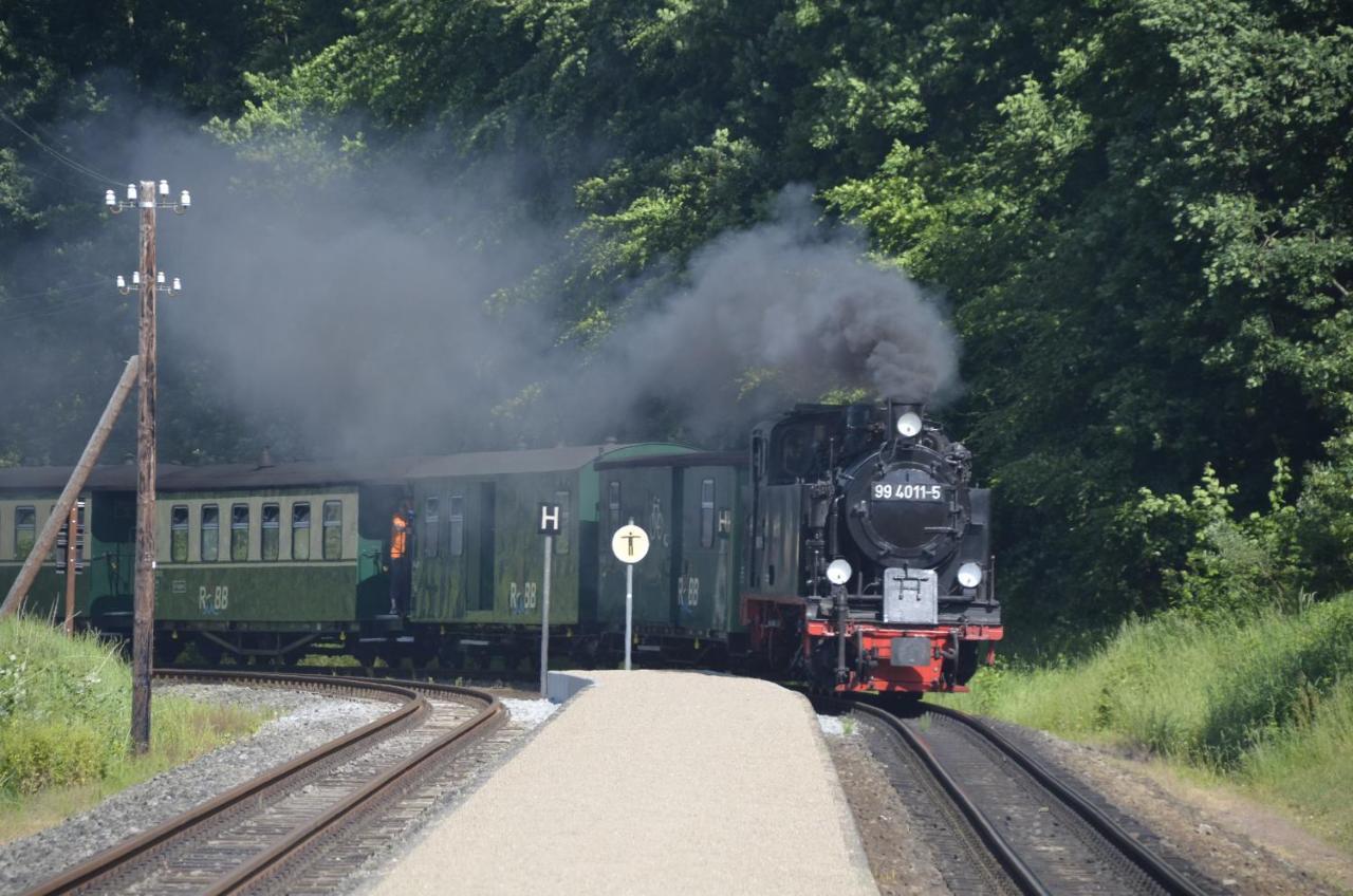 Meerforelle 207 - Villa Seeblick Sassnitz Buitenkant foto