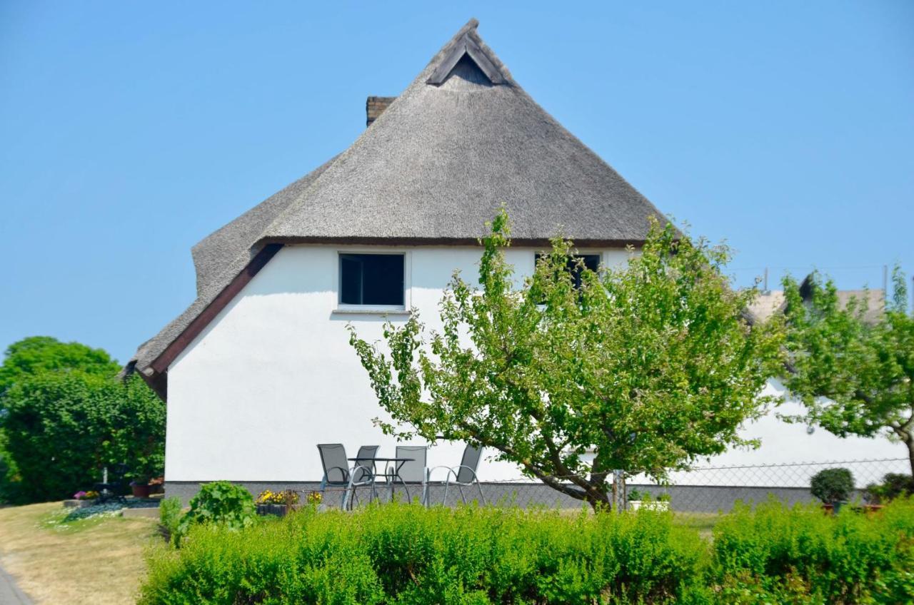 Meerforelle 207 - Villa Seeblick Sassnitz Buitenkant foto